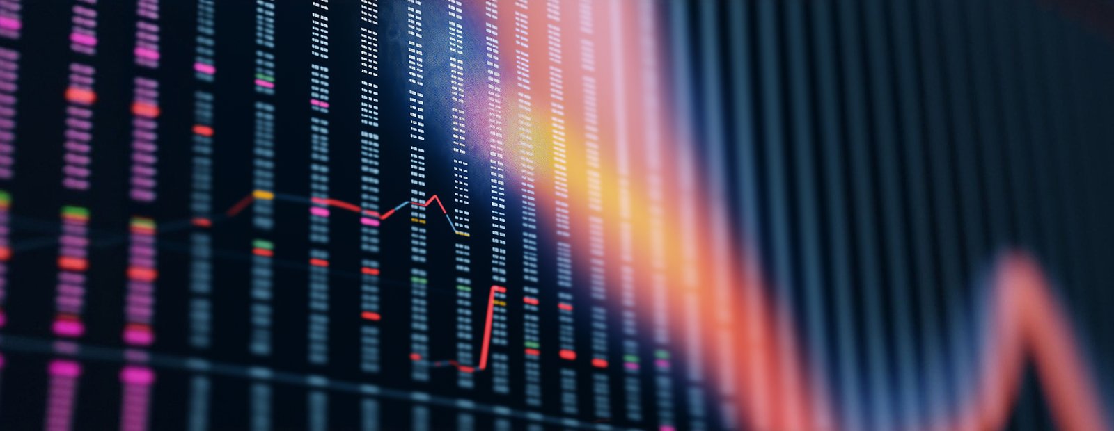 Portfelio iliustracija